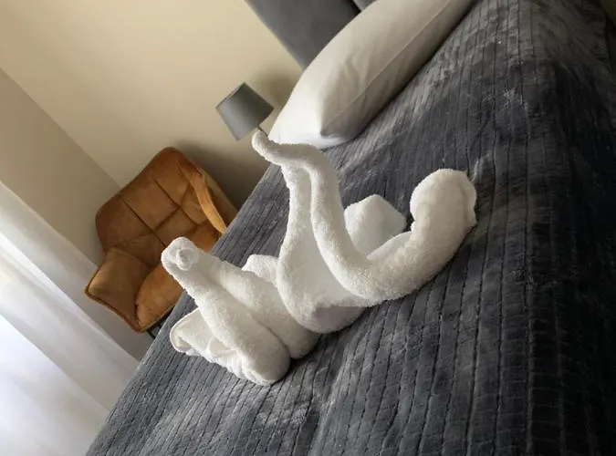 Vesna Mtp ポズナン